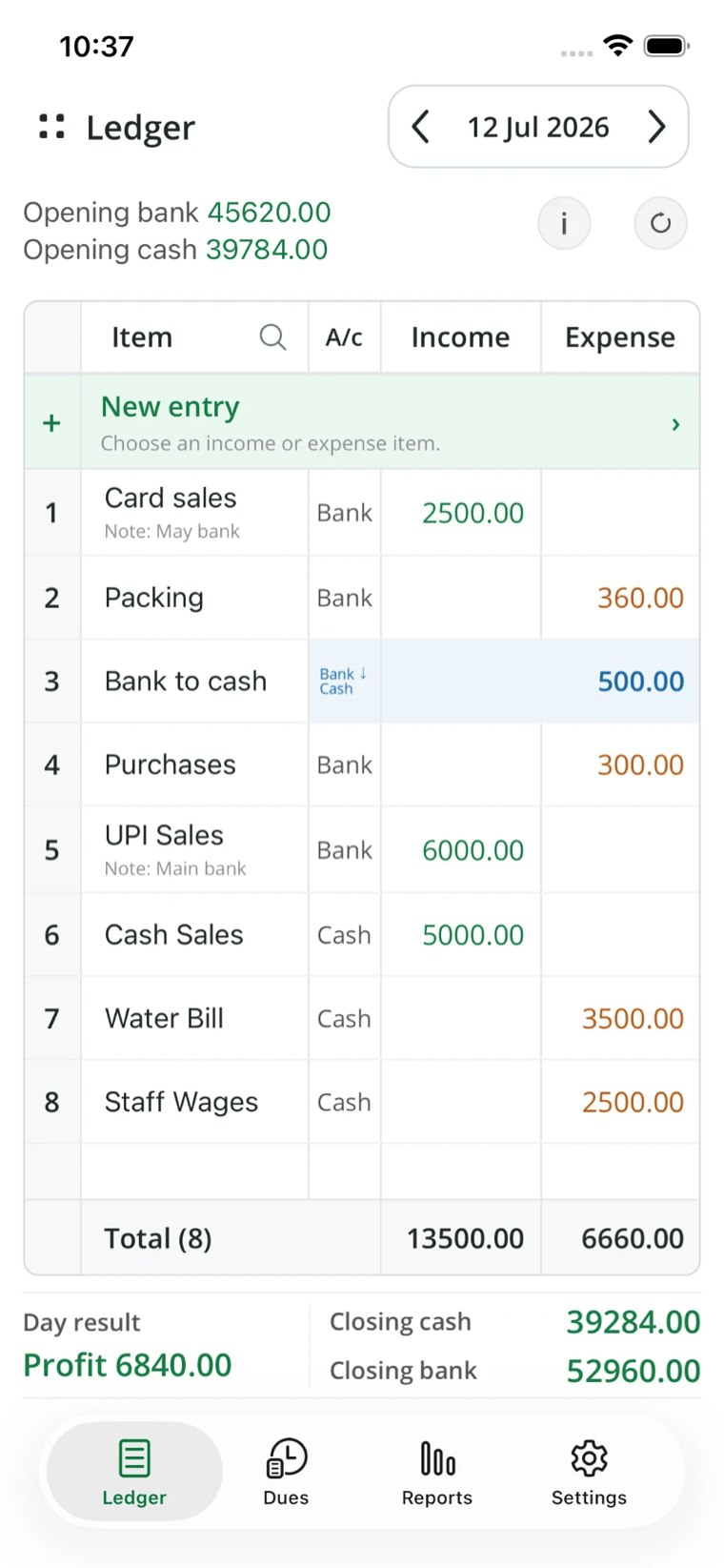 Daily Closing ledger screen showing income, expenses, and closing balances.